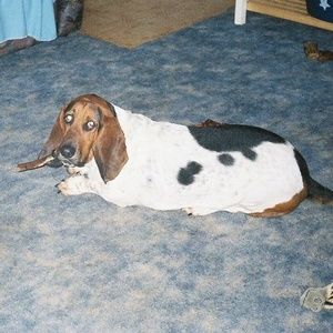 Meet your Posher, Anita